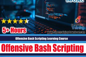 Offensive Bash Scripting Learning Course