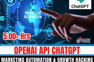 Openai Api Chatgpt Marketing Automation & Growth Hacking