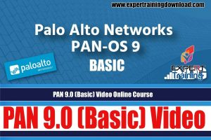PAN 9.0 (Basic) Video Bundle Online Course