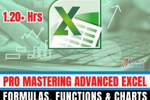 Pro Mastering Advanced Excel ‑ Formulas, Functions & Charts