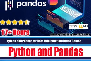 Python and Pandas for Data Manipulation Online Course
