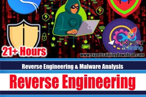 Reverse Engineering & Malware Analysis