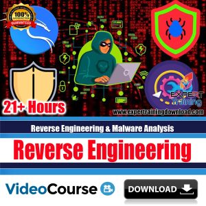 Reverse Engineering & Malware Analysis