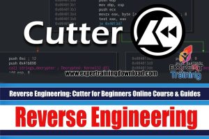 Reverse Engineering - Cutter for Beginners Course