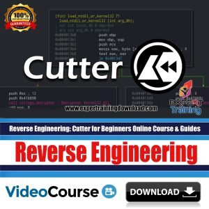 Reverse Engineering - Cutter for Beginners Course