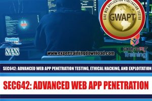ADVANCED WEB APP PENETRATION TESTING, ETHICAL HACKING, AND EXPLOITATION TECHNIQUES Online Course