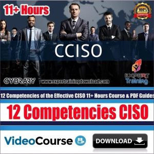 12 Competencies of the Effective CISO