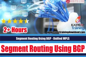 Segment Routing Using BGP - Unified MPLS