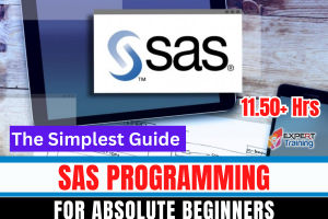 The Simplest Guide To SAS Programming For Absolute Beginners