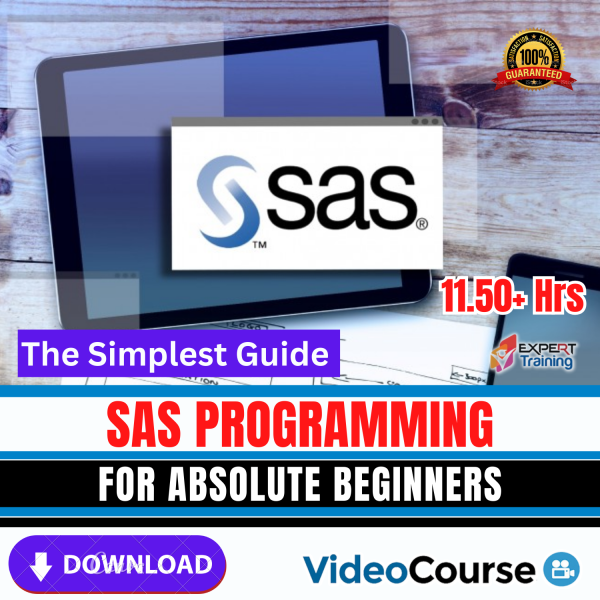 The Simplest Guide To SAS Programming For Absolute Beginners