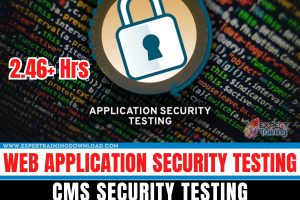 Web Application Security Testing CMS Security Testing