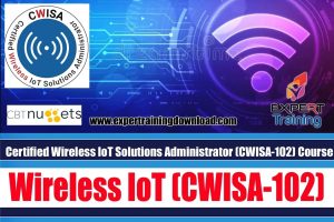 Wireless IoT Solutions Administrator