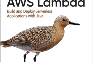 Programming AWS Lambda