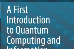 A First Introduction to Quantum Computing and Information