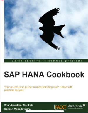 SAP HANA cookbook_ your all-inclusive guide to understanding SAP HANA with practical recipes-Packt Publishing (2013).pdf