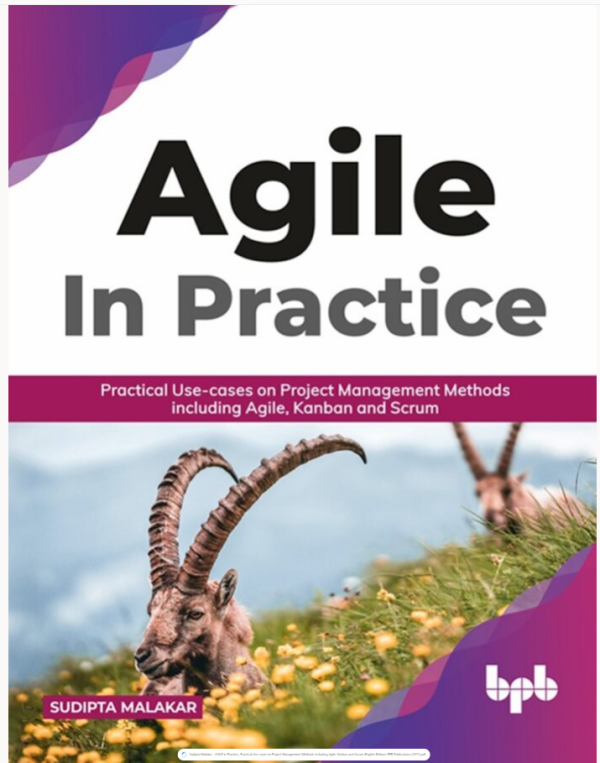 AGILE in Practice: Practical Use-cases on Project Management Methods including Agile, Kanban and Scrum