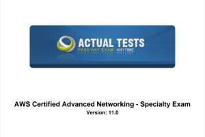 AWS Certified Advanced Networking - Specialty Exam Version: 11.0