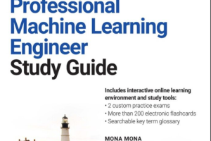 Official Google Cloud Certified Professional Machine Learning Engineer Study Guide