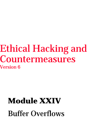 Module 24 Buffer Overflows.pdf