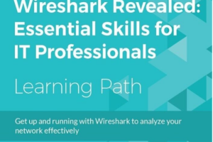 Wireshark Revealed: Essential Skills for IT Professional