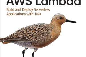 Programming AWS Lambda