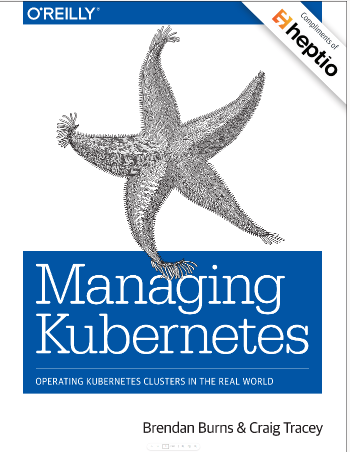 Managing Kubernetes Operating Kubernetes Clusters In The Real World