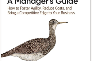 Migrating to AWS_ A Manager's Guide_ How to Foster Agility, Reduce Costs, and Bring a Competitive Edge to Your Business-O'Reilly Media (2020)