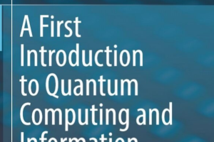 A First Introduction to Quantum Computing and Information
