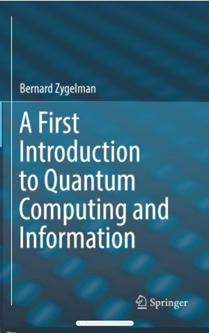 A First Introduction to Quantum Computing and Information