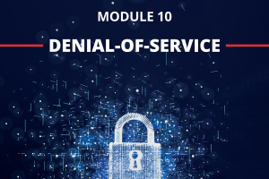 CEH V12 Module10 Denial-of-service (EC-Council).pdf