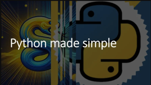 Master Python Basics