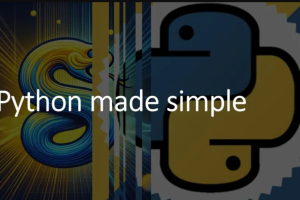 Master Python Basics