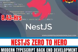 NestJS Zero to Hero Modern TypeScript Back end Development 2021