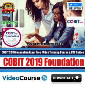 COBIT 2019 Foundation Exam Prep Cours