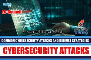 Cybersecurity Attacks and Defense Strategies