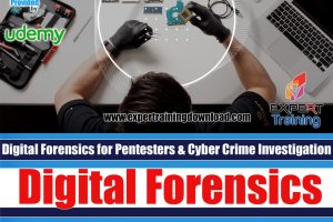 Digital Forensics and Cyber Crime Investigation