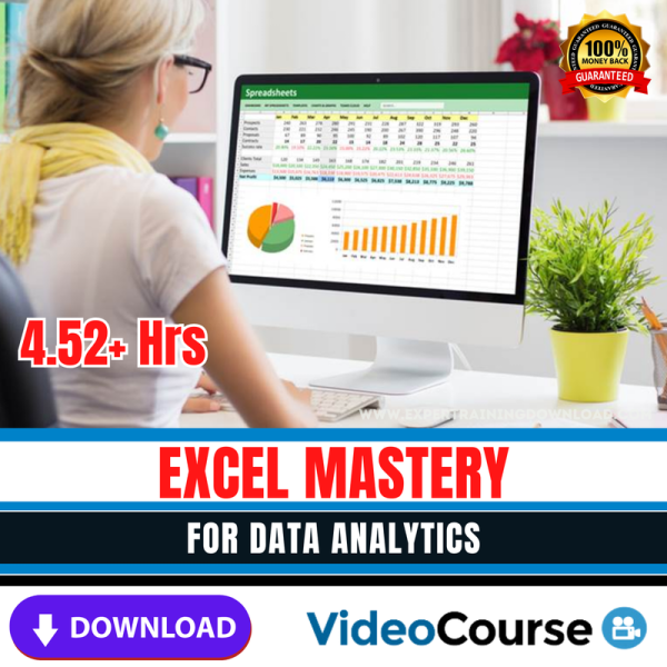 Excel Mastery for Data Analytics