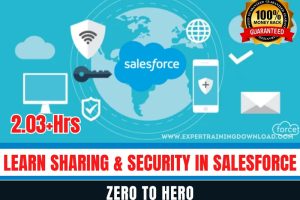 Learn Sharing & Security in Salesforce - Zero to Hero