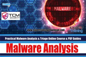 Practical Malware Analysis & Triage