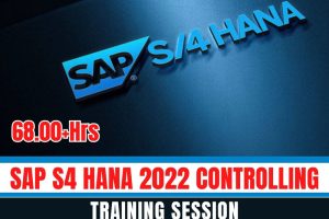 SAP S4 HANA 2022 Controlling Training Session