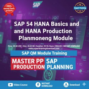 SAP S4 HANA Basics and S4 HANA Production Planning Module