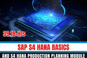 SAP S4 HANA Basics and S4 HANA Production Planning Module