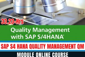 SAP S4 HANA Quality Management QM Module Online Course