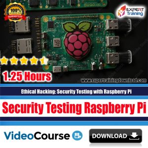 Ethical Hacking: Security Testing with Raspberry Pi