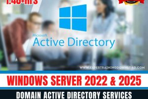 Windows Server 2022 + 2025 Domain Active Directory Services