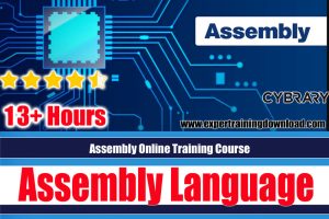 Assembly Online Training Course
