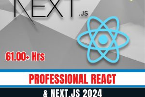 Professional React & Nextjs 2024