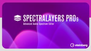 Steinberg SpectraLayers Pro v9.0.20 Build 305 x64
