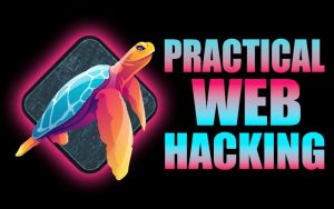 Practical Web Hacking