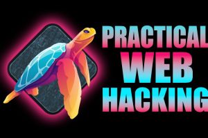 Practical Web Hacking